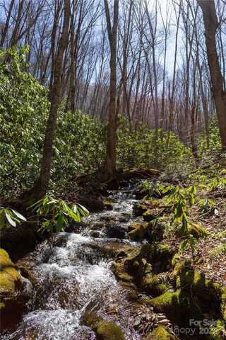 Bearwallow Ridge Trail lot: 50, Kelly, NC 28719