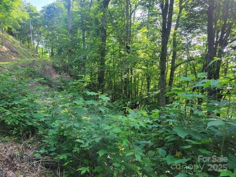 400 Mountain Laurel Road unit: 57, Maggie Valley, NC 28751