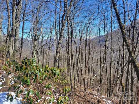 400 Mountain Laurel Road, Maggie Valley, NC 28751
