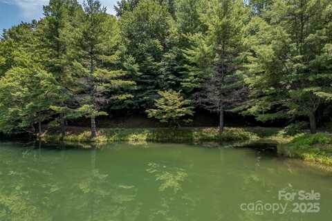 U26 L025a Wadigei Court, Brevard, NC 28712