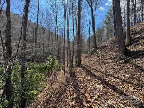 Thomas Brooks Drive unit: 22, Whittier, NC 28789
