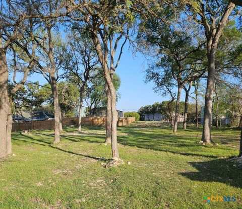 2022 Blueridge Drive, Canyon Lake, TX 78133