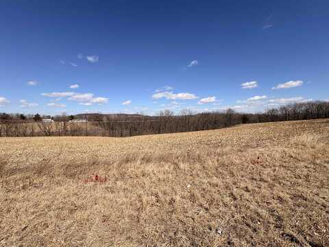 Lot 2 Twin Cedar, Durango, IA 52039