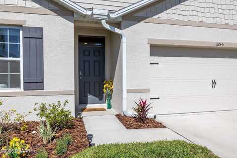3245 Carpentaria Drive, New Smyrna Beach, FL 32168