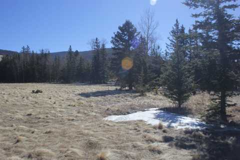 Lot 106 Quail Ridge, Angel Fire, NM 87710