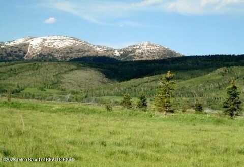 1185 S SORENSEN WAY, Alta, WY 83414