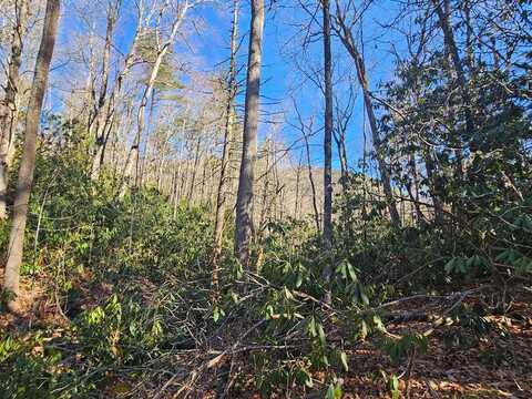 Lot 5 Ruffed Grouse, Cashiers, NC 28717