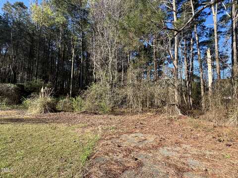 00 Wildberry Road, Smithfield, NC 27577