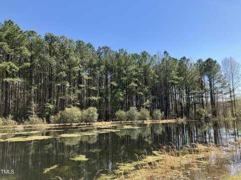 00 Wildberry Road, Smithfield, NC 27577