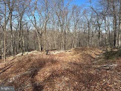 2.08 ACRES DEER PATH ROAD, AUGUSTA, WV 26704