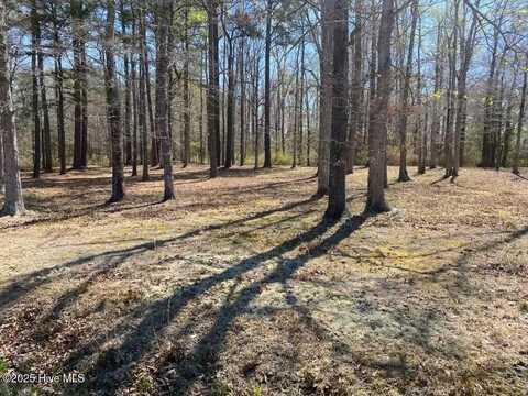 1 & 2 Tranters Creek Rd, Washington, NC 27889