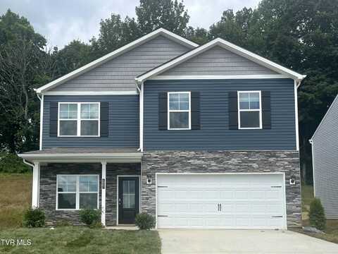 1047 Tomahawk Terrace, Johnson City, TN 37604