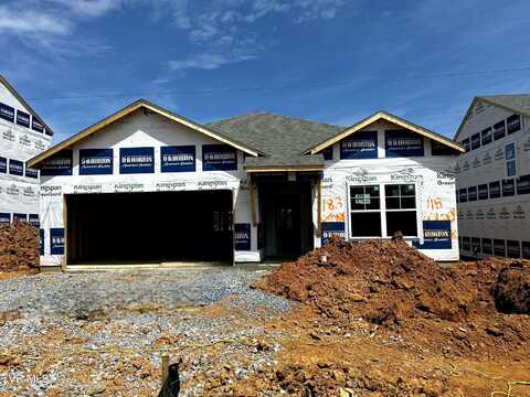 115 Golden Rod Drive, Bluff City, TN 37618