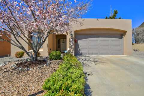 1019 VIA TOMAS NE, Albuquerque, NM 87113