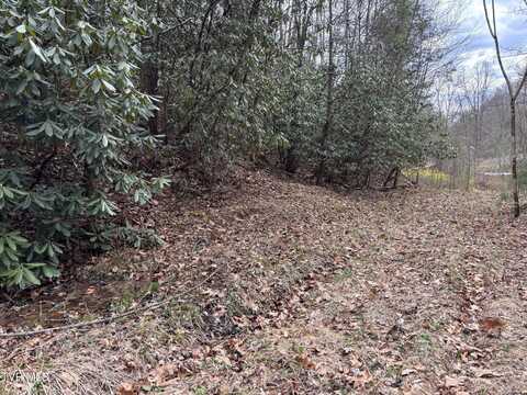 00 Robinson Hollow Lane, Mountain City, TN 37683