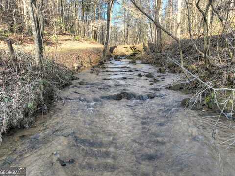 394 Cowboy, Ellijay, GA 30540