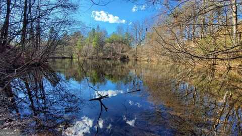 51+ Acre Mountain Cove, Cherry Log, GA 30522