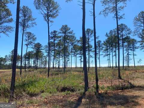 709 Giles, Forsyth, GA 31029