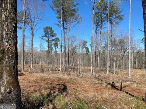 659 Giles, Forsyth, GA 31029