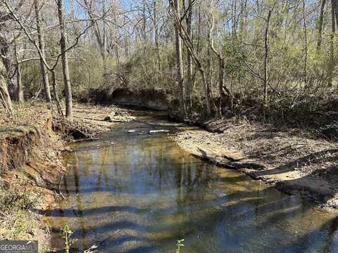 146 Acres Roosevelt, Warm Springs, GA 31830