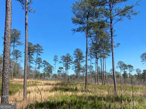726 Giles, Forsyth, GA 31029