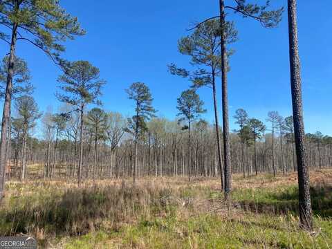671 Giles, Forsyth, GA 31029