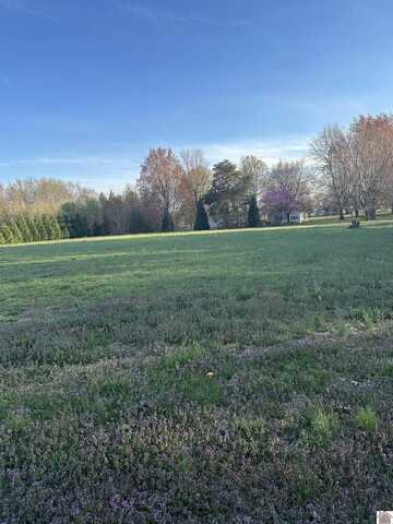 7080 Old Hinkleville Rd, West Paducah, KY 42001