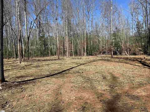 00 Williams Road, Pelzer, SC 29669