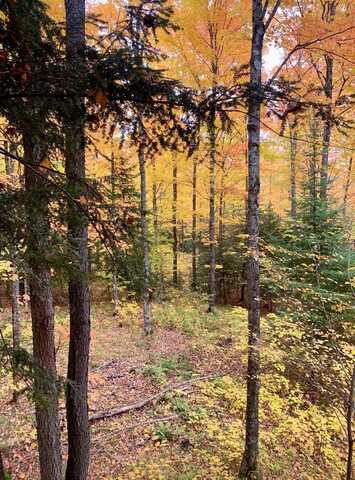 On BOOT LAKE RD, Phelps, WI 54554