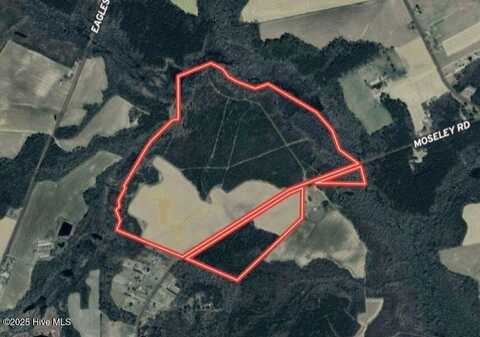 973 Mosely Road, Walstonburg, NC 27888