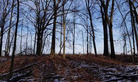 856 Greystone Drive, Chelsea, MI 48118