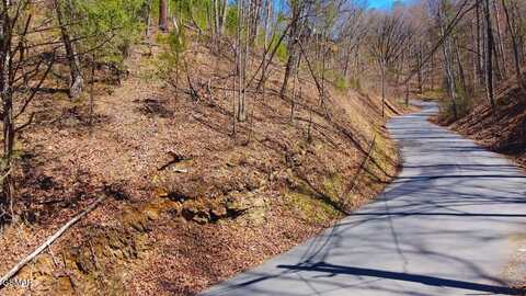 Lot 4 Windy Lane, Sevierville, TN 37876