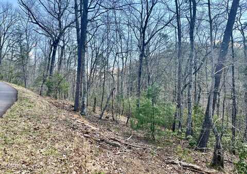 4010 Fox Hunters Lane, Sevierville, TN 37876