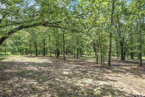 TBD (16 Acres) VZ County Road 1804, Grand Saline, TX 75140