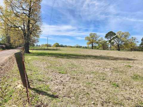 LOT 11 HEMLOCK RD, Gilmer, TX 75644