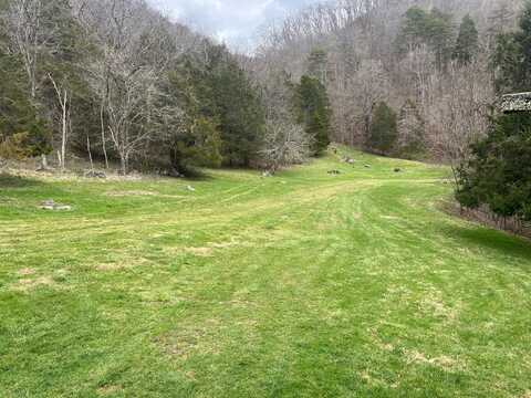 821 Belleview Road, Wolfcreek, WV 24993