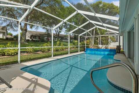 2309 Terrace View Lane, Spring Hill, FL 34606