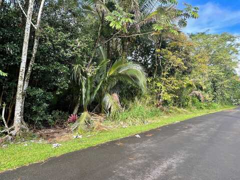 S HINALEA ST, PAHOA, HI 96778
