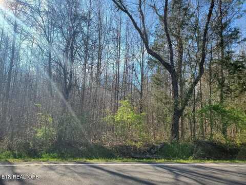 Lot 7 Highway 304, Decatur, TN 37322