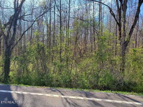 Lot 6 Highway 304, Decatur, TN 37322