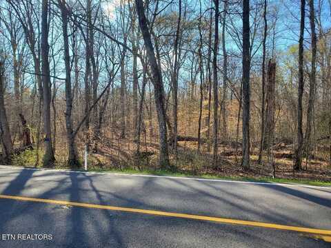 Lot 14 Highway 304, Decatur, TN 37322