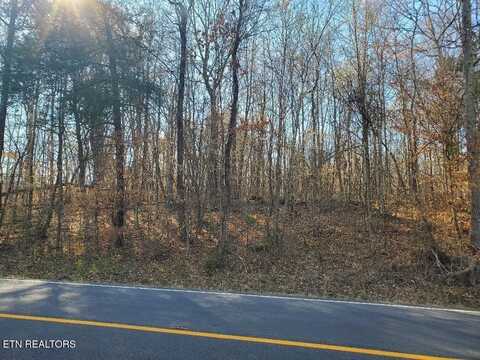 Lot 17 Highway 304, Decatur, TN 37322