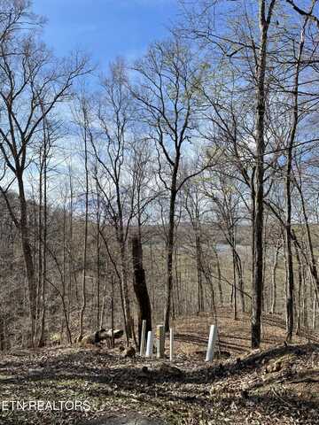 Lot 303 Cherrywood Lane, Sharps Chapel, TN 37866