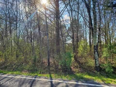 Lot 1 Highway 304, Decatur, TN 37322