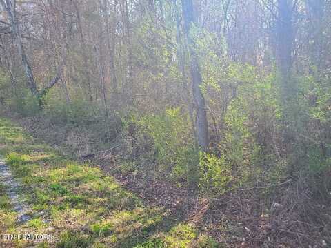 Lot 2 Highway 304, Decatur, TN 37322
