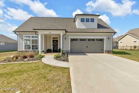 290 Cedar Branch Tr, Lenoir City, TN 37772