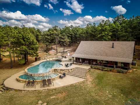741 Ac SYCAMORE RD, Daingerfield, TX 75638