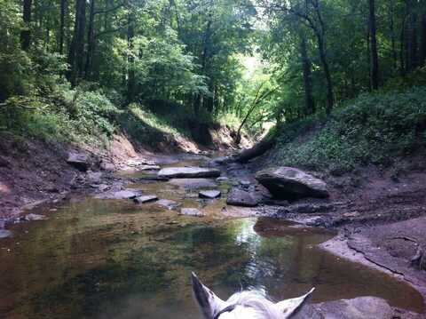 9999 Hales Fork Road, Dewitt, KY 40930