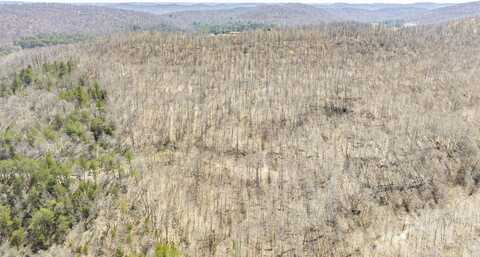Burfield, Monticello, KY 42633