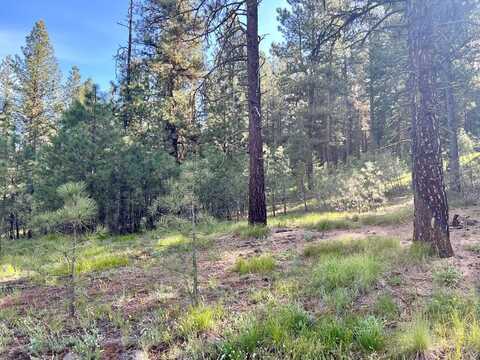 Meadow Drive lot: 20, New Meadows, ID 83654